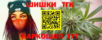индика Рузаевка
