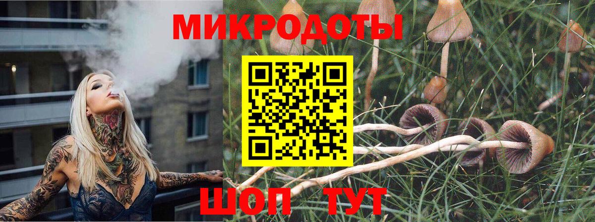 закладка  Галлюциногенные грибы Cubensis  Псилоцибиновые грибы Psilocybe  Вход с VPN  Ставрополь 